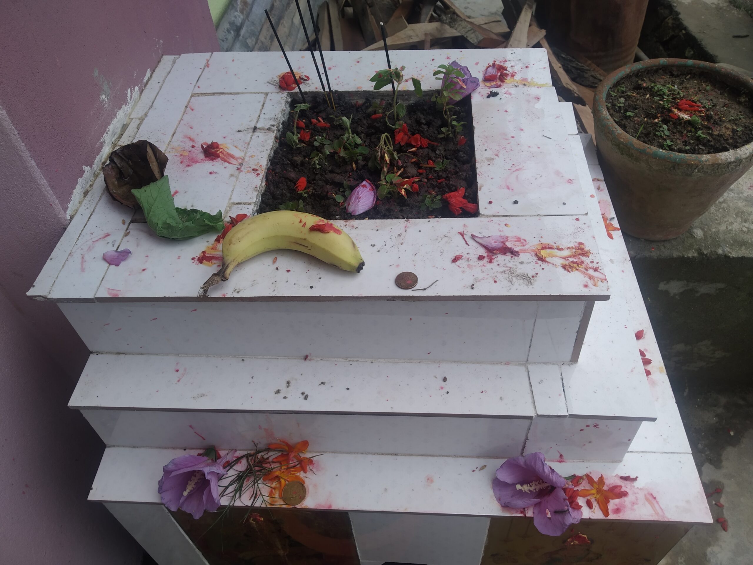 घर घरमा तुलसीको बिरुवा रोपेर हरिशयनी एकादशी मनाइँदै