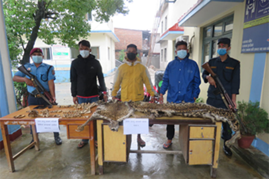 बाघको छाला, खप्पर, हड्डीसहित तीनजना पक्राउ