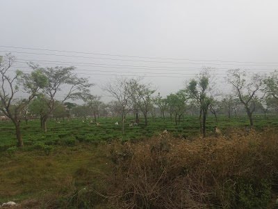 गिरीबन्धुको जग्गा बेच्ने बाटो खाेल्न कानुनमै झेल