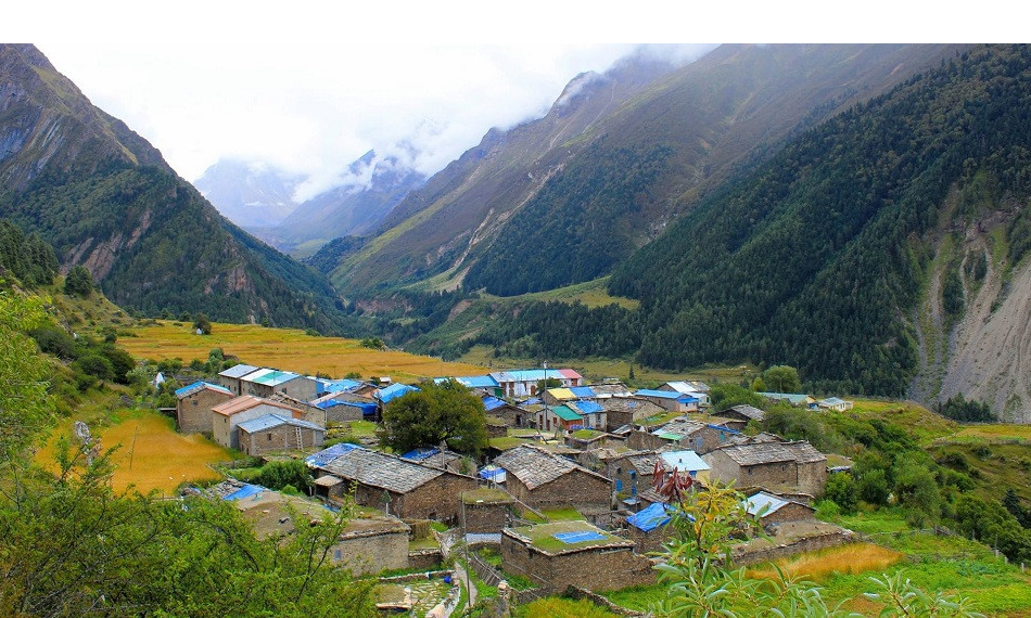 छाङरु र टिंकर जाँदै जनगणनाको लागि टोली