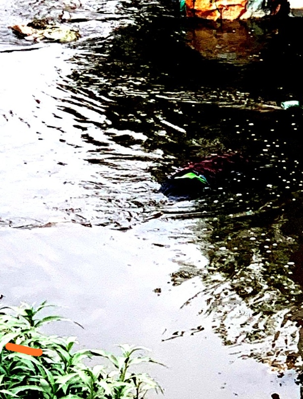 धोबीखोलामा भेटियो पुरूषको शव