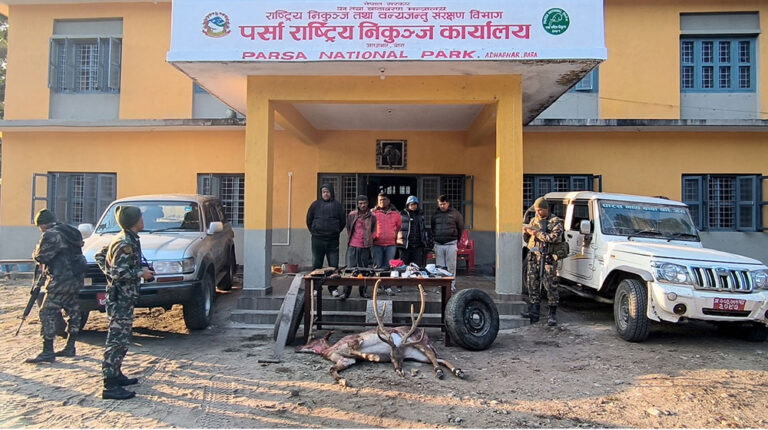 जरायो चोरी सिकारी प्रकरणमा दुई प्रदेश सांसदसहित ४९ जना कसुरदार