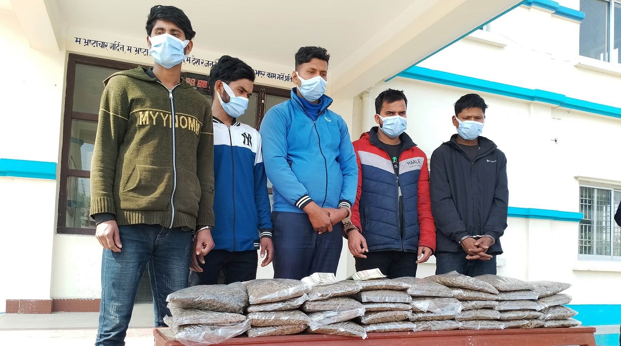 लागुऔषध गाँजासहित ५ जना पक्राउ