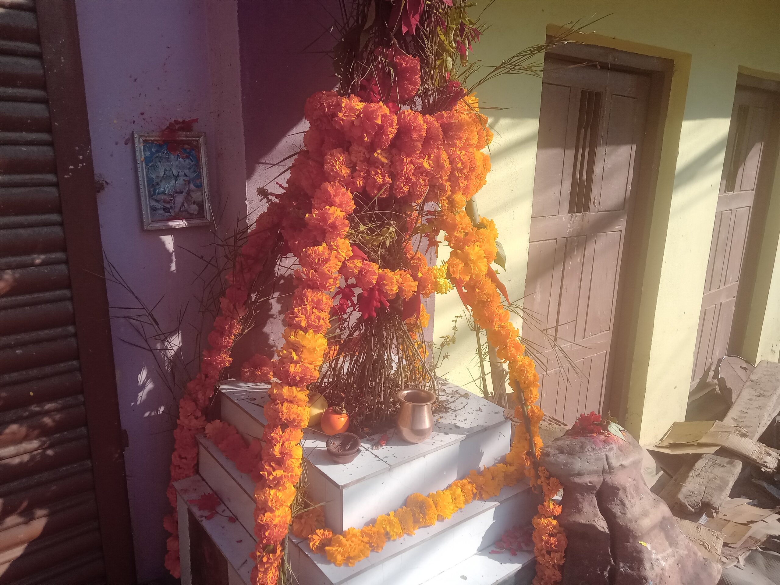 हरि बोधिनी एकादशी : तुलसी र दामोदरको विवाह गरिँदै