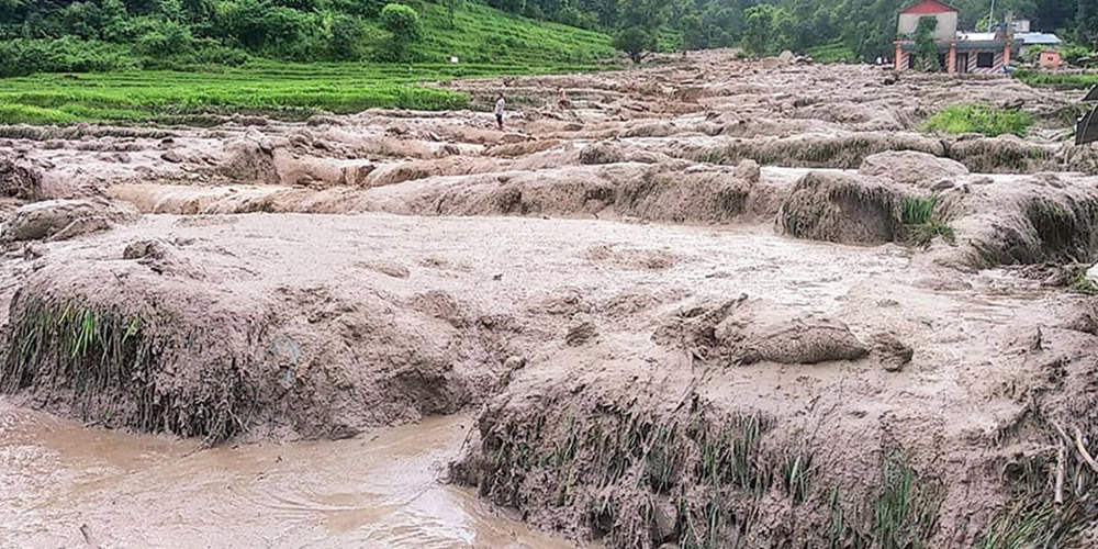 विपद् जोखिम बढ्यो, एक महिनामा ६२ को मृत्यु