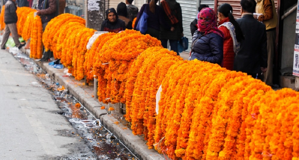 तिहारमा नेपालीले लगाए ५० करोडको फूलमाला