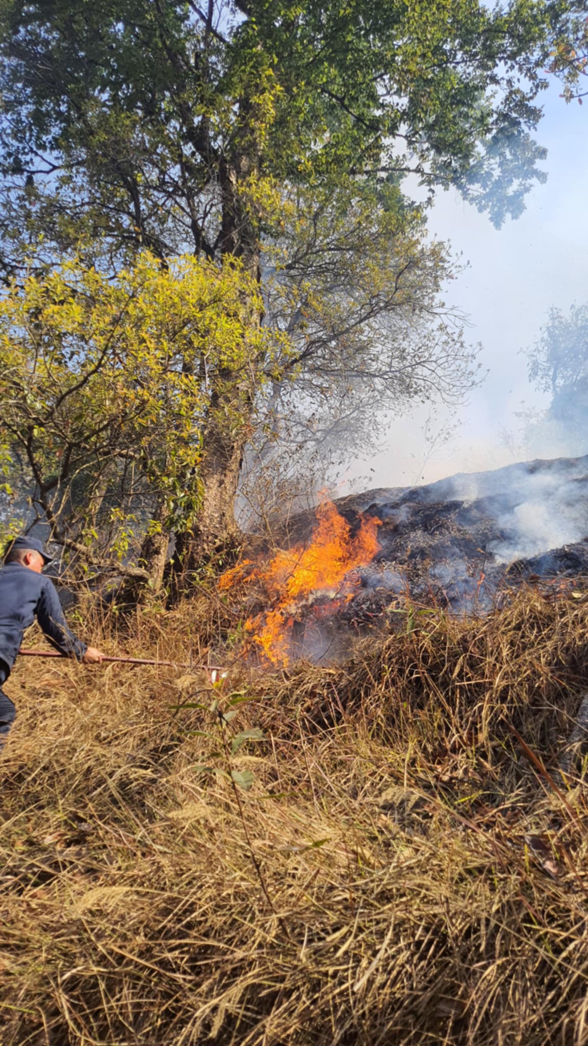 केउरानि सामुदायिक बनमा भीषण आगलागी नियन्त्रण हुन सकेन(तस्बिरहरू)